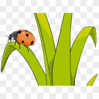Clipart Ladybug Grass , Png Download - Un Brin D Herbe Transparent Png