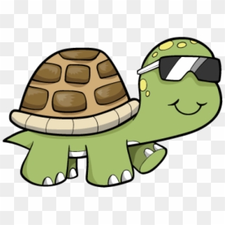 Cool Turtle Clipart