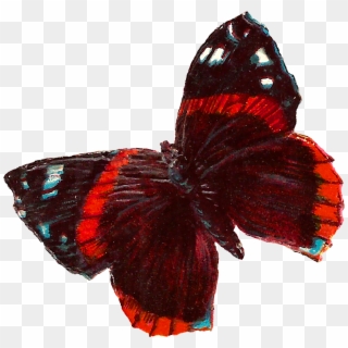 Red Butterfly Image Downloads - Maroon Butterfly Png Clipart