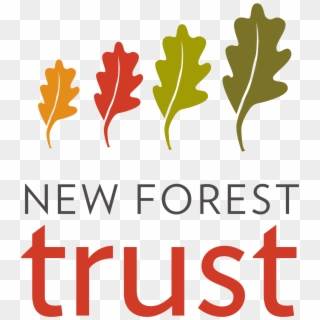Forest Trust Clipart