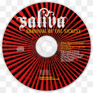 Saliva Survival Of The Sickest Cd Disc Image - Different Types Of Paper Fan Clipart
