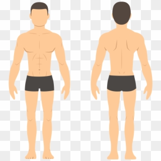 Man Transparent - Man Body Illustration Clipart