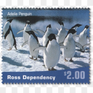 Single Stamp - Emperor Penguin Stamp Clipart