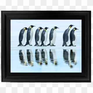 Penguins Group Clipart
