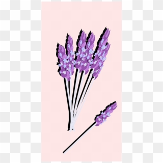 Lavender Flower Plant - Lavender Clipart