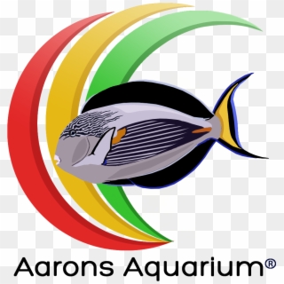 Aquarium Png - Graphic Design Clipart