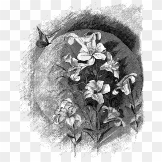 Visual Arts Sketch Flower Illustration Transprent Png - Visual Arts Clipart