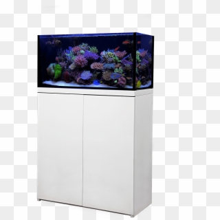 Transparent Piping Aquarium - Reef Octopus Lux 90 Clipart