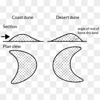 A Comparison Of Coast And Desert Dunes - Transparent Background Transparent Mosque Clipart