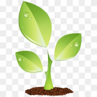Growth Vector Green Plant - Plant Vector Png Clipart