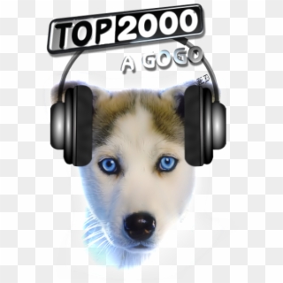 Photo Top2000agogo-blanco - Headphones Clipart