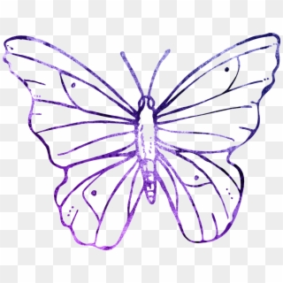 Butterfly Purple Outline Clipart Cute Flying - Transparent Background Butterfly Outline Clipart - Png Download