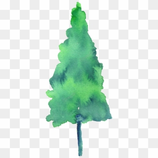 Painted Watercolor Pine Tree Decoration Free Download - Christmas Tree Clipart