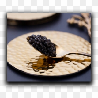 Fine Caviar In Dubai - Grape Clipart
