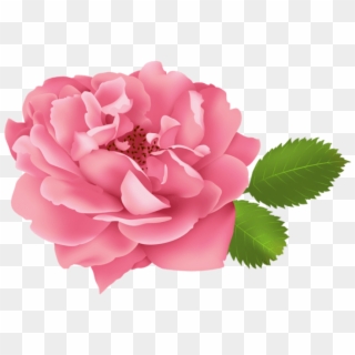 Free Png Download Pink Rose Flower Bush Png Images - Rose Flower Clipart