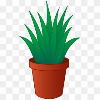 Aloe Vera Plant In Pot Clipart - Aloe Vera Plant Clipart - Png Download