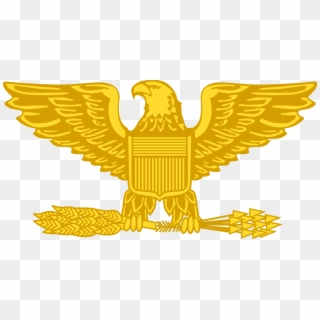 Golden Eagle Png - Colonel Army Insignia Clipart