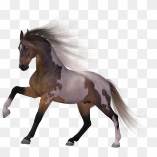 Download Horse Png Transparent Images Transparent Backgrounds - Stallion Clipart