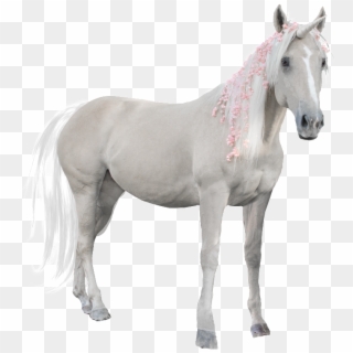 Hand Painted A White Horse Png Transparent Clipart