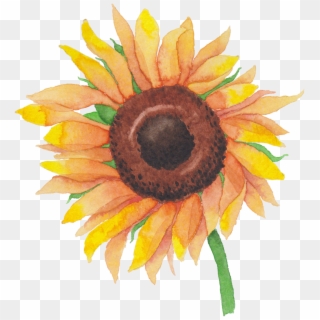 1361 X 1468 11 - Sunflower Clipart