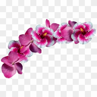 Flowers Sticker - Orchids Crown Png Clipart
