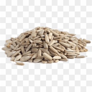 Sunflower Seeds - Sunflower Seed Without Shell Clipart