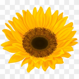 Sunflower Png Clip Art Image Transparent Png