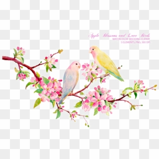 Love Birds Png Download Image - Love Birds Painting Watercolor Clipart