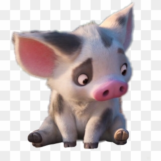 Moana Pua Puuuaaaaaa Puuuuaaaaaaa Puuuaaaaaaa Pig Face Clipart Pikpng