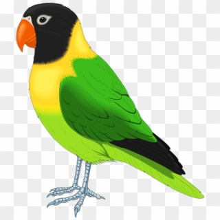 0, - Parakeet Clipart - Png Download