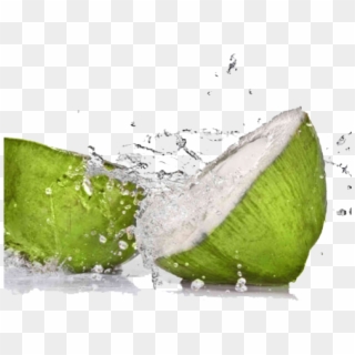 Tender Coconut Water Png Clipart