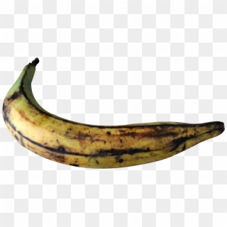 Banana Clipart Photo - Plantain Png Transparent Png
