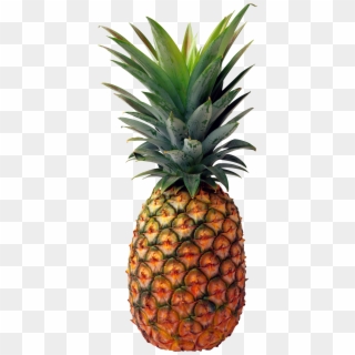 Pineapple Png Image, Free Download - Pineapple Png Clipart