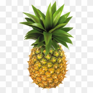 Pineapple Fruit Png Image - Pineapple Png Clipart Transparent Png