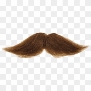 Free Png Download Mustache Brown Png Images Background - Moustache Transparent Background Clipart