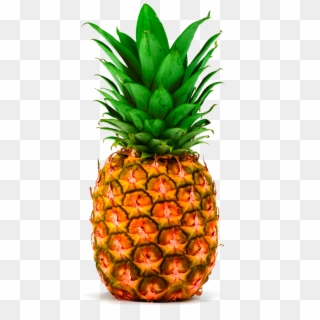 Download - Transparent Pineapple Clipart
