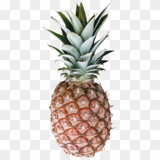 Pineapple - Pineapple And Marble Clipart