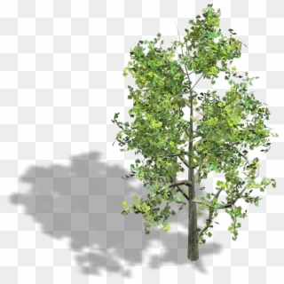 Preview - Trees Isometric Clipart