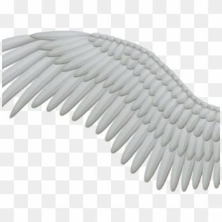 Angel Wings Png - Angels Wing No Background Clipart