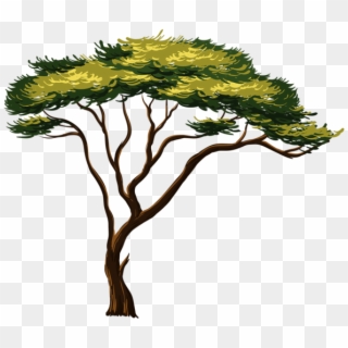 Painted African Tree Png Clipart Picture Trees Tree - African Tree Clipart Transparent Png