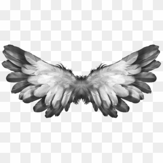Free Png Download Angel Wings Feathers Png Images Background - Gods Angels Clipart
