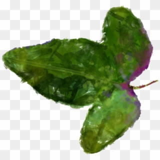Leaf 2 Clipart