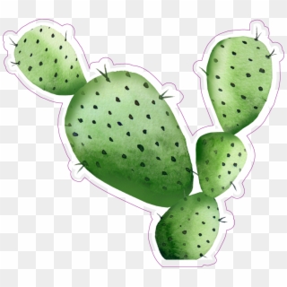 Sharp Watercolor Cactus Sticker - High Resolution Cactus Watercolor Clipart