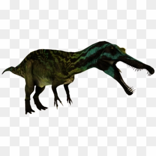 Made A Suchomimus From Mm's Spinosaurus, If It's Pd - Tyrannosaurus Clipart