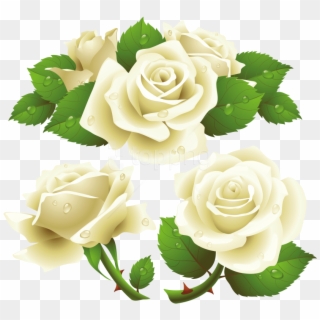 Download White Roses Clipart Png Photo - White Roses Vector Png Transparent Png
