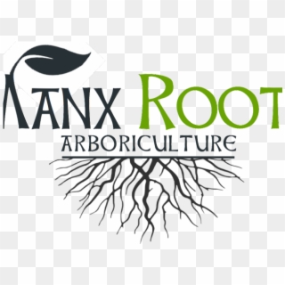 Tree Root Font - Cafe Clipart