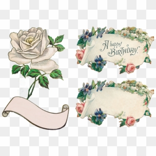 Banner Flowers Rose Clip Art Transparent Isolated - Birthday - Png Download