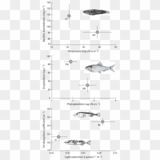 09-03 Hendry Fig - Lamniformes Clipart