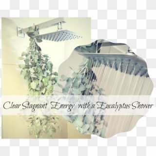 Eucalyptus Shower2 - Curtain Clipart