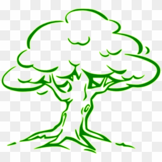 Tree Png Easy Oak Tree Drawing Clipart 5924266 Pikpng